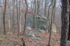 Photo of Beebe Woods Photo of Beebe Woods