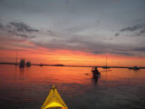 Logo for Cape Cod Kayak Logo for Cape Cod Kayak