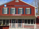 Logo for Deer Run Veterinary Services Logo for Deer Run Veterinary Services