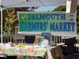Logo for Falmouth Farmers Market Logo for Falmouth Farmers Market