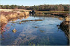 Photo of Quashnet River Photo of Quashnet River