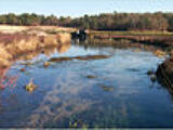 Logo for Quashnet River Logo for Quashnet River