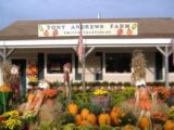 Logo for Tony Andrews Farm Logo for Tony Andrews Farm