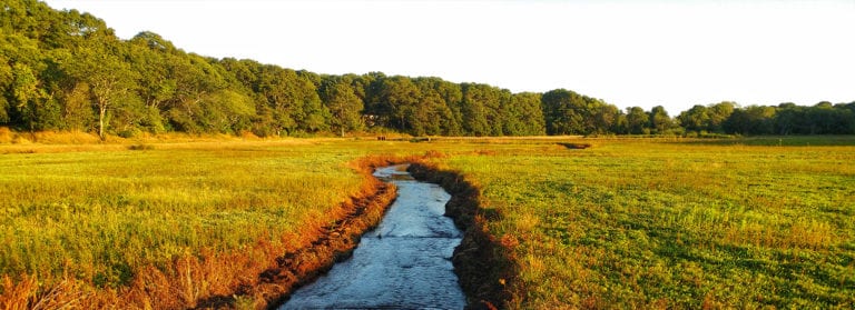 East Falmouth - Falmouth Visitor Weather in east falmouth ma