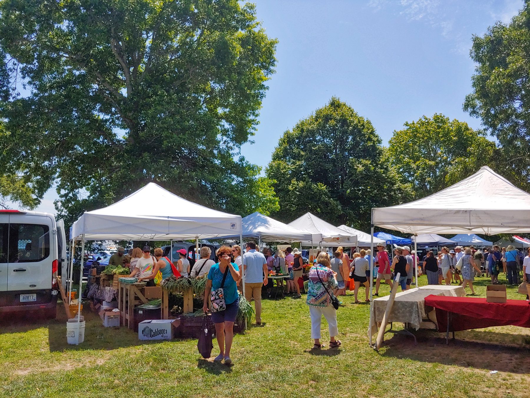 Falmouth Favorites: Thursday Market Scene - Falmouth Visitor